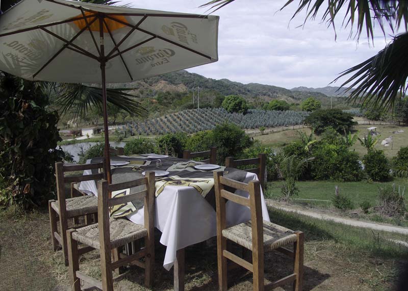 El TuitoRestaurant