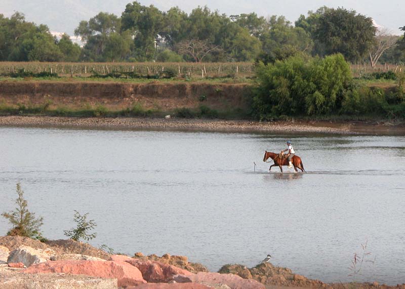 River Rider w Kingfisher
